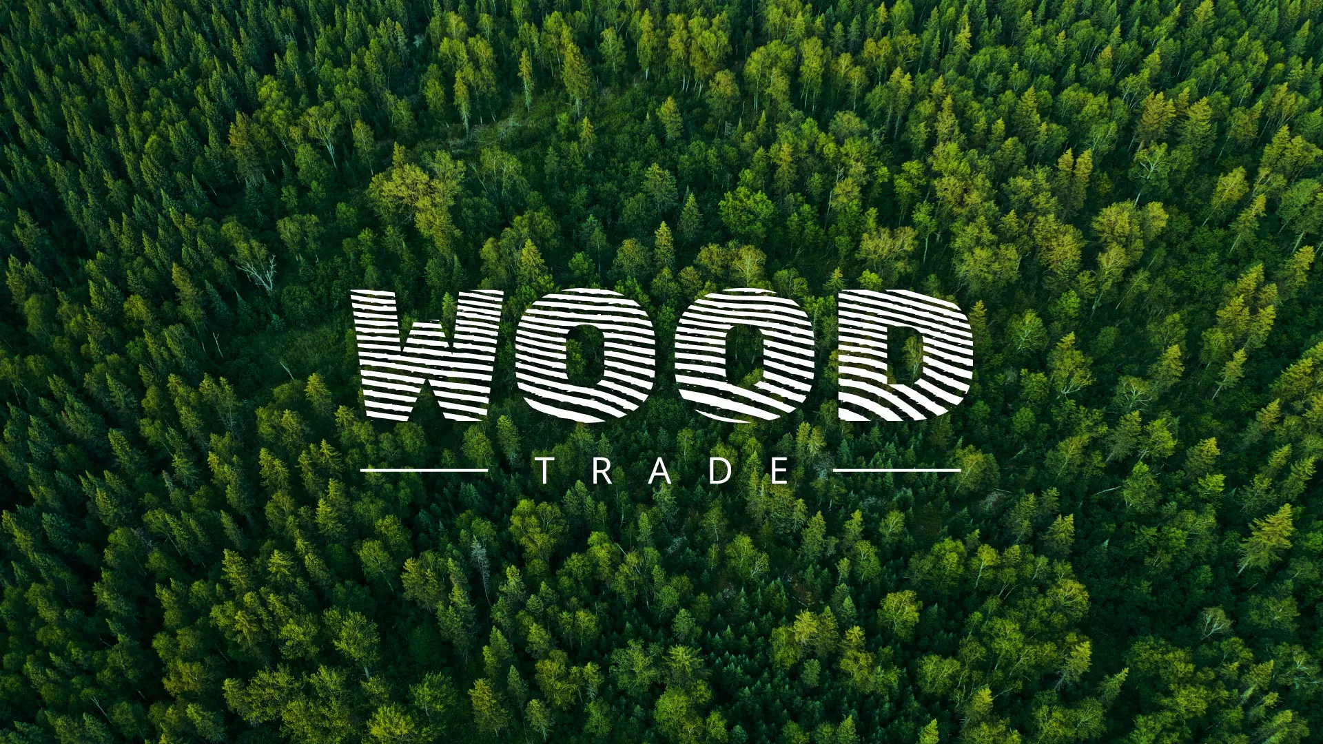 Разработка интернет-магазина компании «Wood Trade» в Чайковском